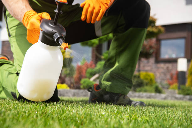 Professional Pest Control in Bluffton, SC